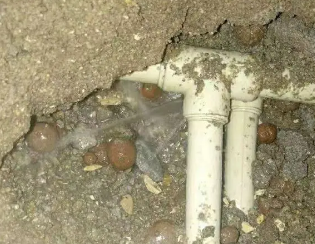 西林卫生间测漏