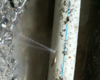 西林卫生间测漏水多少钱